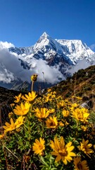 High-angle view of bright yellow flowers beneath a massive, snow-covered mountain peak