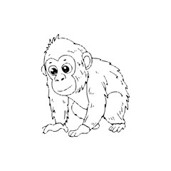 Outline black and white coloring on monkey and orangutan © Griyolabs
