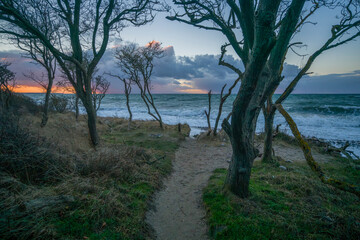 Ostseestrand bei Nienhagen