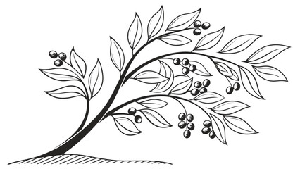 Obraz premium Minimalist Organic Clove Tree with Berries, Modern Black Vector Silhouette for Clean Sustainable Brand Logos and Botanical Art
