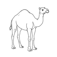 Camel Outline  A simple line drawing showcases the profile of a camel, standing in black lines