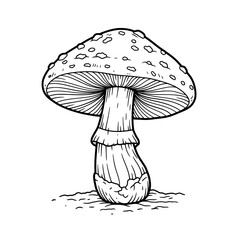 Hand drawn mushroom