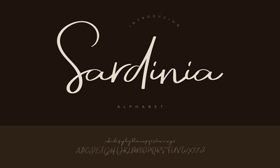 Sardinia Beautiful Calligraphy Script Font Alphabet Vector For Wedding And Travel Design