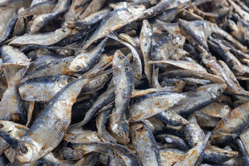 Fresh whole fish close-up stacked together showing raw seafood texture