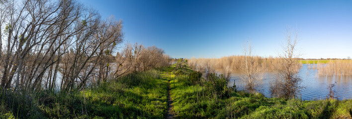 Panorama of a trail on a Sacramento river levee with water on both sides 