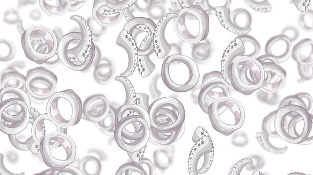 White Octopus Tentacle Rings Falling in Seamless Loop Animation