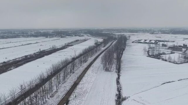 Horizontal 1080p aerial drone video flying over a rural landscape in China during winter. A long straight dirt road is lined with rows of tall, leafless poplar trees (windbreaks). Agricultural fields 