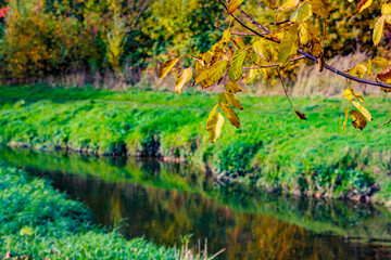 Golden yellow leaves in foreground, Geleenbeek river, green grass with autumn foliage trees in blurred background, Absbroekbos conservation area in Munstergeleen, Limburg, Netherlands