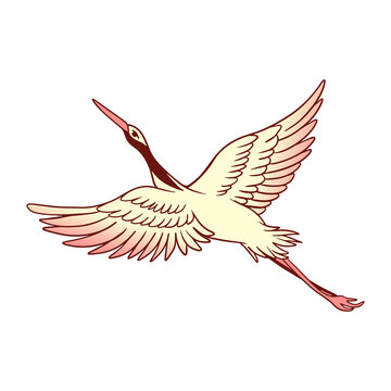 vector illustration of a crane bird