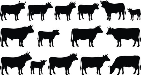 Black cow silhouettes set with bulls calves and cattle poses, farm livestock collection, isolated rural animal flat vector illustration © MstMuktarinaAkter
