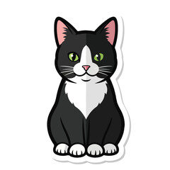 Obraz premium A cartoon cat with black and white fur and green eyes