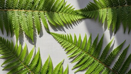 Green fern leaves on canvas background with sunlight and shadows creating natural patterns and textures