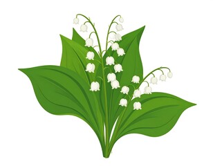 Illustration Lily The Valley Plant