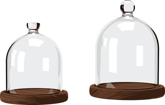 Glass display cloche domes with wooden base for product presentation decoration isolated on white background vector illustration