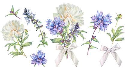 Watercolor set with blue wildflower bellflower and lungwort flower isolated on white background. Hand-drawn spring and summer milk peony. Clipart with bouquet for sticker or wrapping and wallpaper