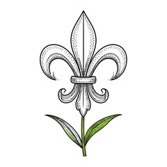 Fleur-de-lis illustration, lightly shaded in black and white, with a splash of green at the base