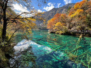 Beautiful scenery of Five Flowers Lake at Jiuzhaigou national park, Sichuan China in autumn season. Famous travelling destination 