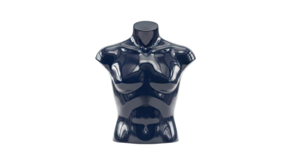 Glossy Black Torso Mannequin