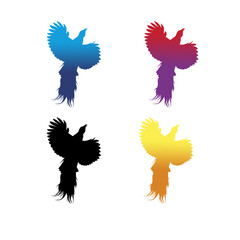 Fototapeta premium merak bird vector.eps