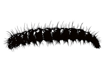 Silhouette of an Unfurling Life: a silhouette of a caterpillar, a symbol of potential, crawling, embodies the metamorphosis ahead.