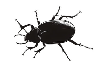 Black Beetle Silhouette: A striking silhouette of a beetle with intricate details, showcasing the beauty and complexity of insect life.