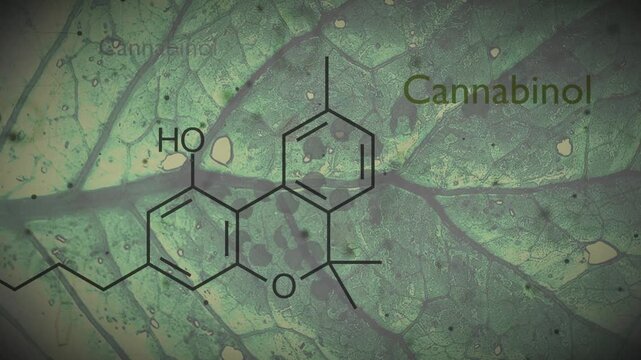 Cannabinol or CBN molecular structural chemical formula. Futuristic science backdrop. Pharmacology concept