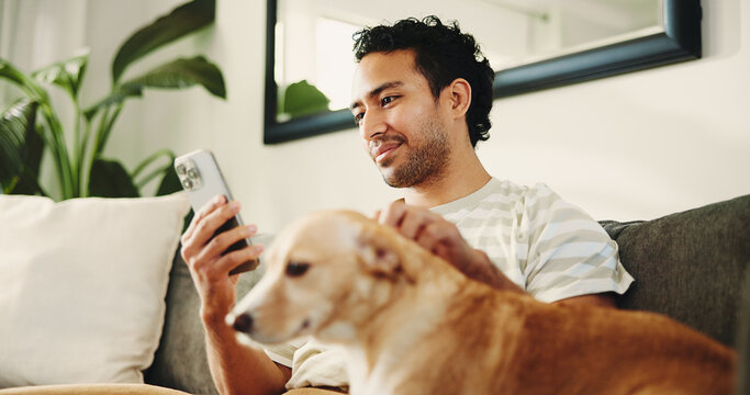 Man, dog and phone on sofa, texting and relax with stroke, care and check notification for chat at home. Person, smartphone and pet animal on couch with low angle, mobile app or social media in house
