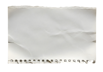 Torn edge of a white paper sheet with perforated holes isolated on transparent background