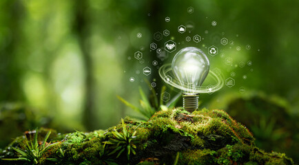 Green innovation for achieving carbon neutrality and ESG goals