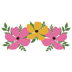 flowers on white background