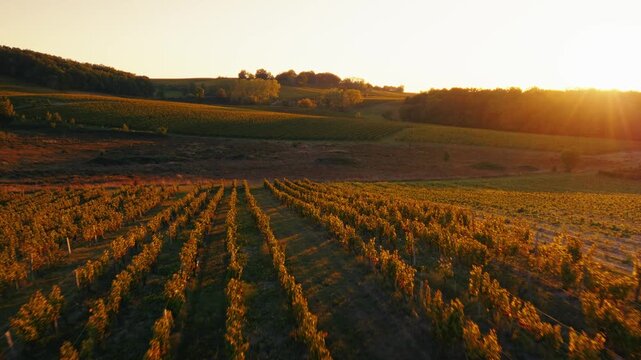 French countryside landscape near Bergerac features rolling fields and vineyards at dusk. Aerial view captures the warm autumn hues and rural texture of the Dordogne region during sunset.