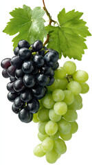 Fototapeta premium Perfectly Arranged Green Grape Cluster and Black Grape Cluster on Transparent Background