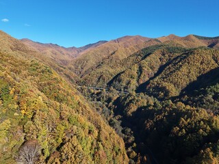 A beautiful mountain range with a clear blue sky above it. The trees are lush and green, and the leaves are changing colors, giving the scene a warm and inviting atmosphere