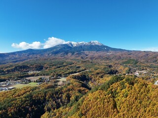 A mountain range with a clear blue sky in the background. The mountains are covered in snow and the trees are orange and yellow