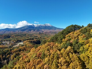 A mountain range covered in trees with a blue sky in the background. The trees are in various shades of yellow and orange, creating a warm and inviting atmosphere
