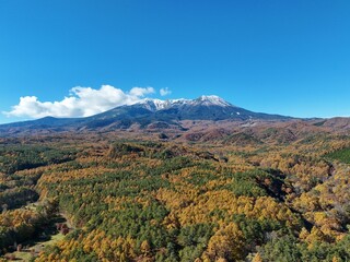 A mountain range with a clear blue sky in the background. The mountains are covered in snow and the trees are green and yellow