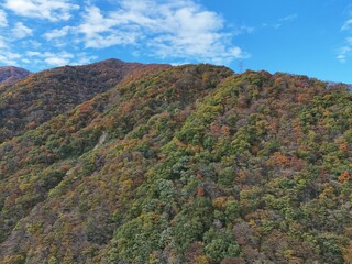 A mountain covered in trees with a blue and white flag on top. The sky is clear and blue