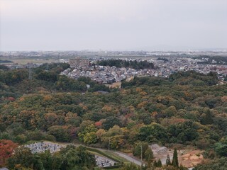 Fototapeta premium A view of a city with a forest in the background. The city is full of buildings and the forest is full of trees