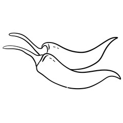 Obraz premium Minimal Line Art Chili Peppers Illustration With Spicy Botanical Detail