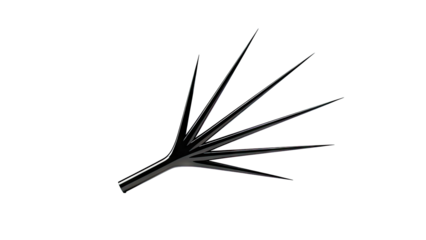 Black Spiky Object on White Background
