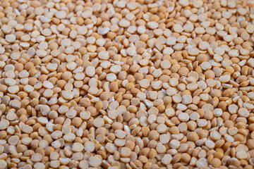 Peas nutrition details, Detailed view of protein and fiber in split peas for health, Focus on yellow split peas emphasizing their health benefits and nutritional information