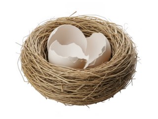 Two broken eggs in a bird's nest, symbolizing fragility and vulnerability, isolated on transparent background