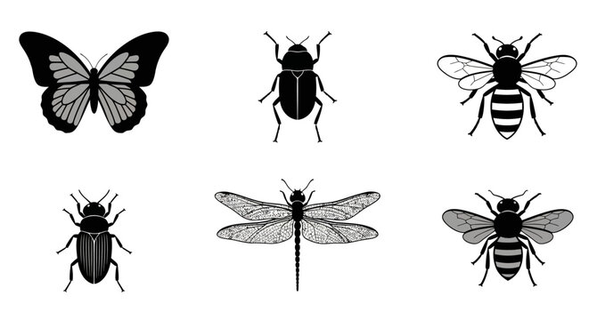 Diverse insects collection featuring a butterfly beetle dragonfly and bees black and white line