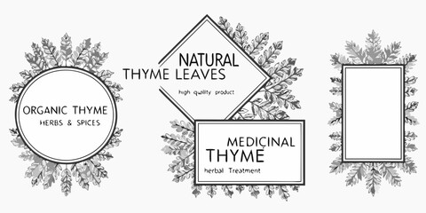 Decorative frames with thyme leaves and botanical text for organic products