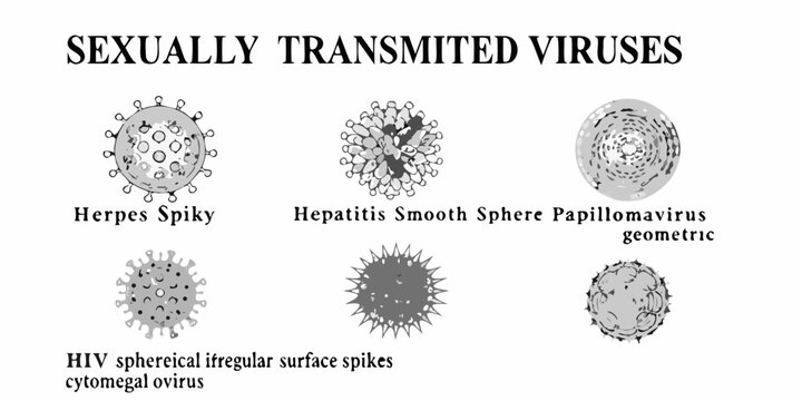 Illustrations of sexually transmitted viruses herpes hepatitis hiv and papillomavirus