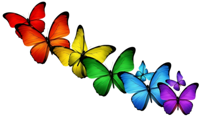 Five colorful butterflies on transparent background