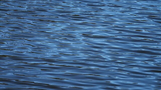 Slow Motion Blue Water Ripples Minimal Abstract Background