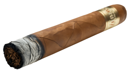 Close up of a premium hand rolled cigar with a detailed wrapper and band displayed