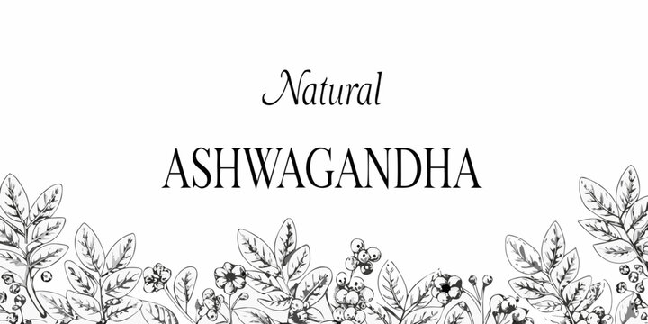 Ashwagandha botanical illustration with delicate floral elements and elegant typography