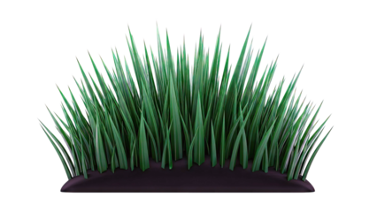 Green grass clump with dark soil